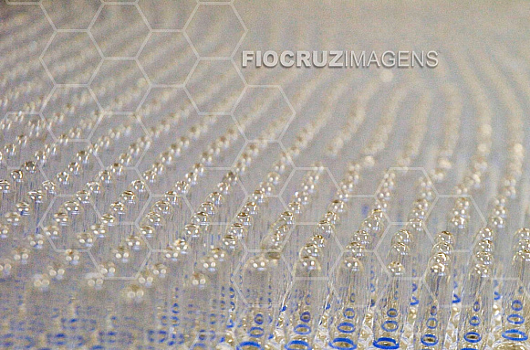 Instituto de Tecnologia em Imunobiológicos