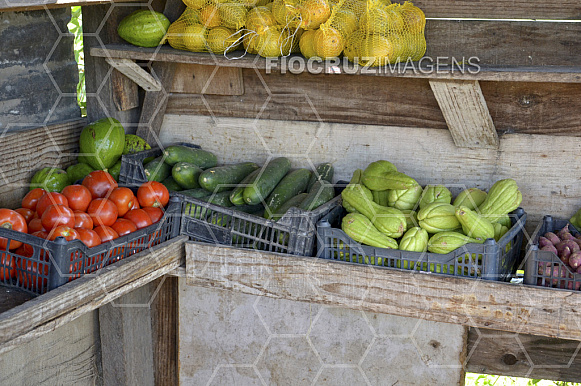 Venda de alimentos