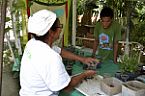 Jovem aprendendo sobre mudas de plantas.