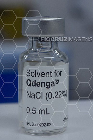 QDenga