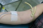 Doação de sangue