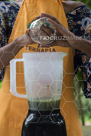 Terrapia