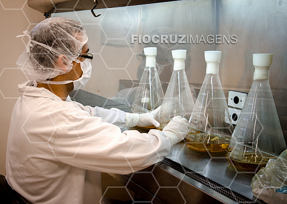Meio de cultura em frascos Erlenmeyer