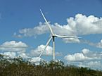 Energia eólica