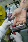 Doação de sangue
