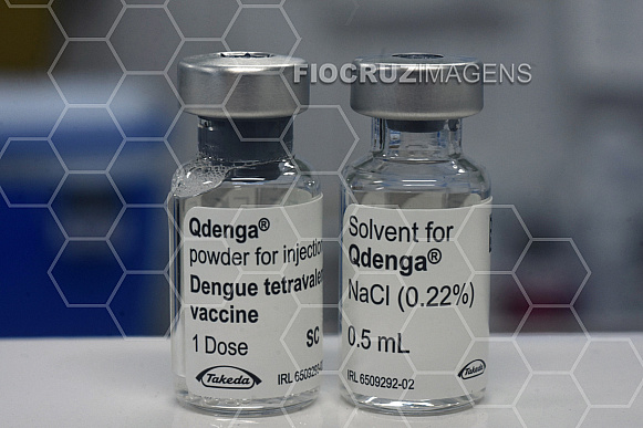 QDenga
