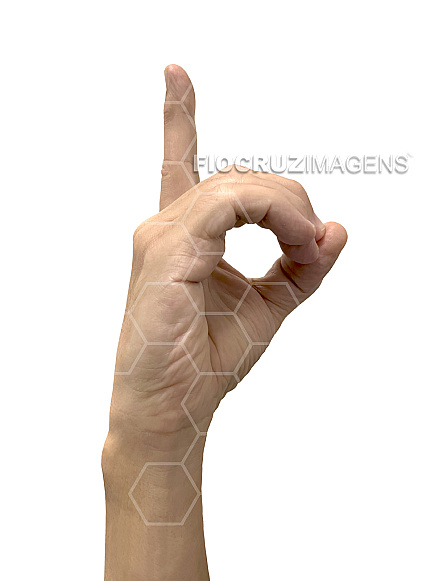 Alfabeto em Língua Brasileira de Sinais (Libras)