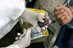 Doação de sangue