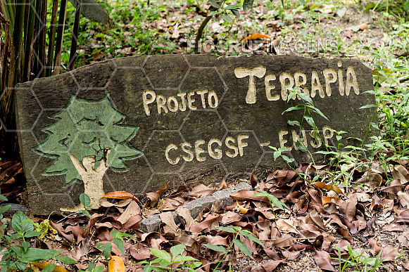 Terrapia
