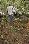 Recuperação ambiental 