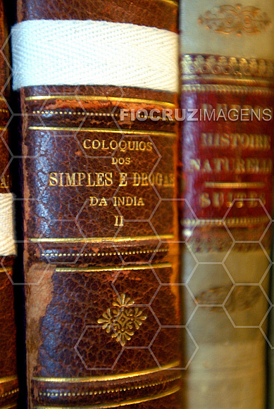 Livros em estantes 