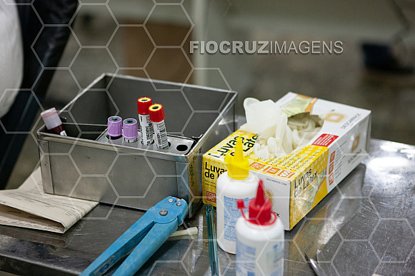 Doação de sangue