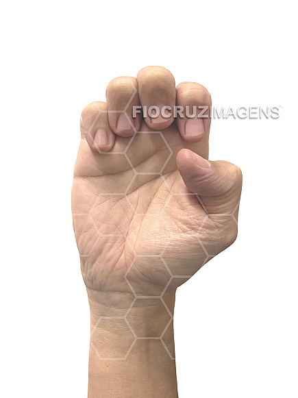 Alfabeto em Língua Brasileira de Sinais (Libras)