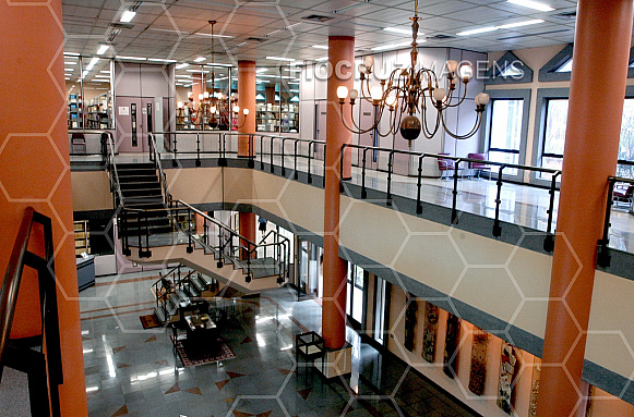 Biblioteca de Ciências Biomédicas