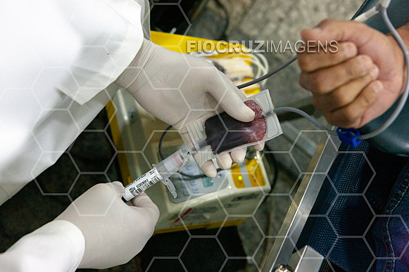 Doação de sangue