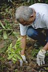 Recuperação ambiental 