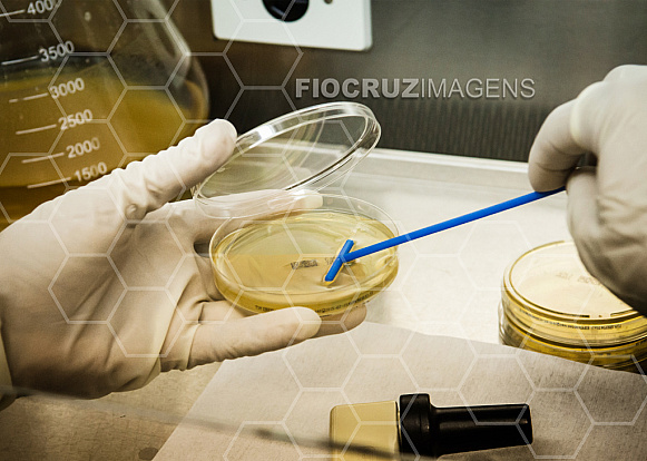 Ressuspensão bacteriana