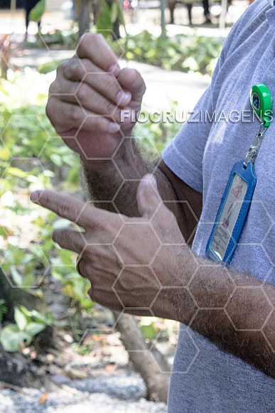 Libras (Língua Brasileira de Sinais)