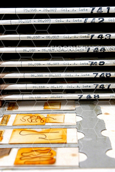 Laboratório de zoonoses