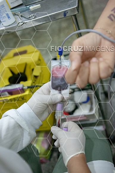 Doação de sangue