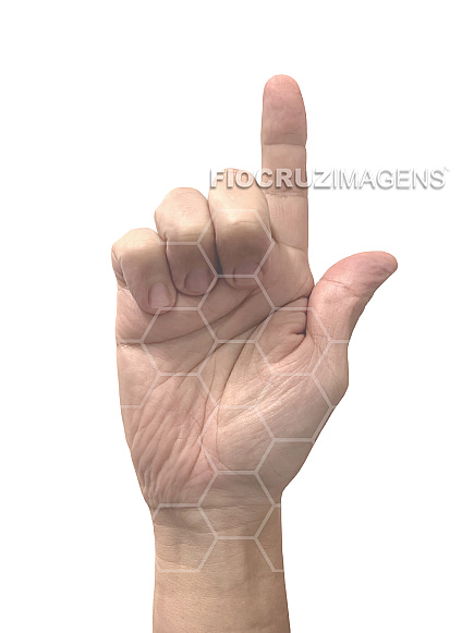 Alfabeto em Língua Brasileira de Sinais (Libras)