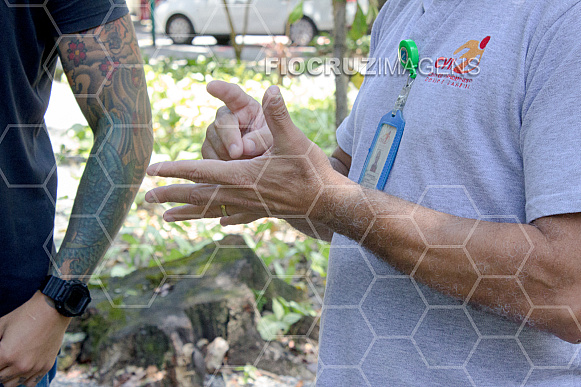 Libras (Língua Brasileira de Sinais)