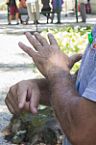 Libras (Língua Brasileira de Sinais)