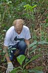 Recuperação ambiental 