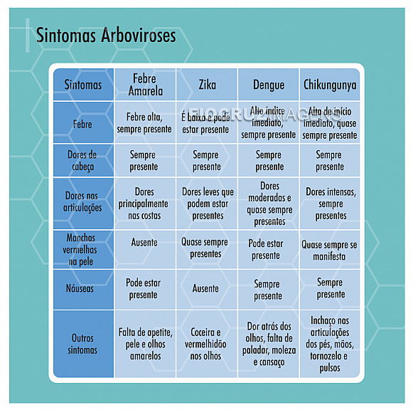 Sintomas Arboviroses