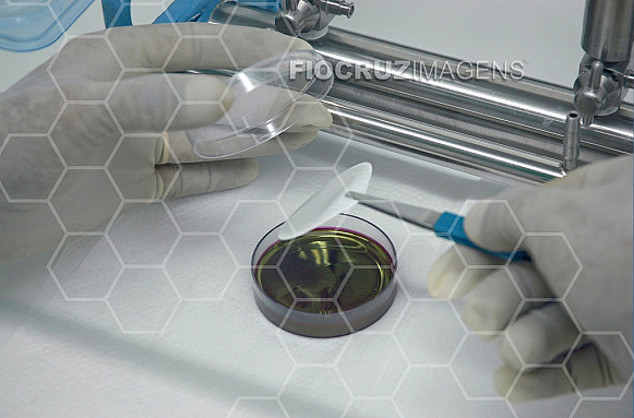 Pesquisa em laboratório