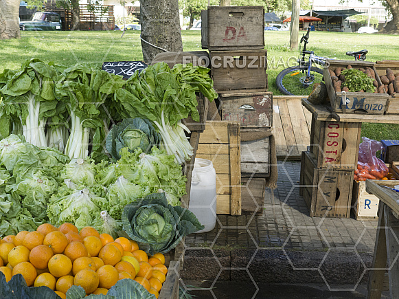 Feira