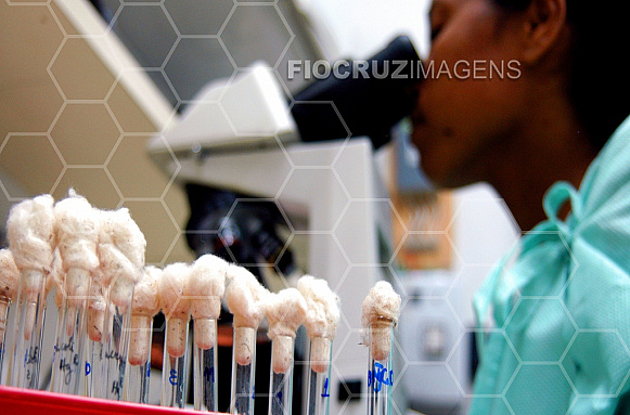 Laboratório científico