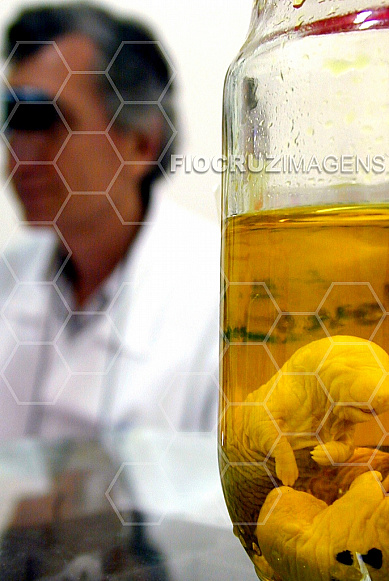 Laboratório de zoonoses