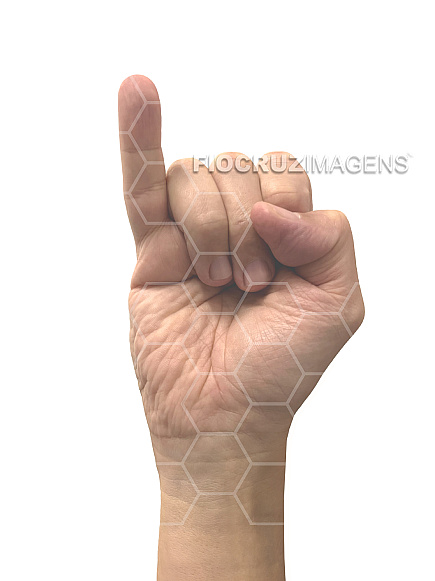 Alfabeto em Língua Brasileira de Sinais (Libras)