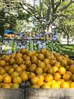 Feira