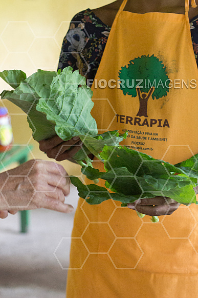 Terrapia