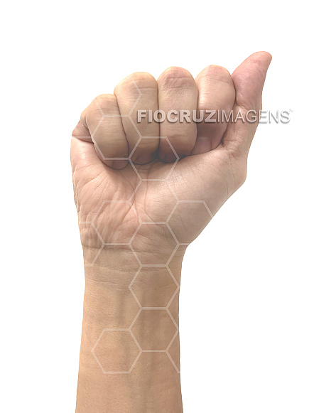 Alfabeto em Língua Brasileira de Sinais (Libras)
